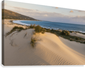 book_600_12284905highres